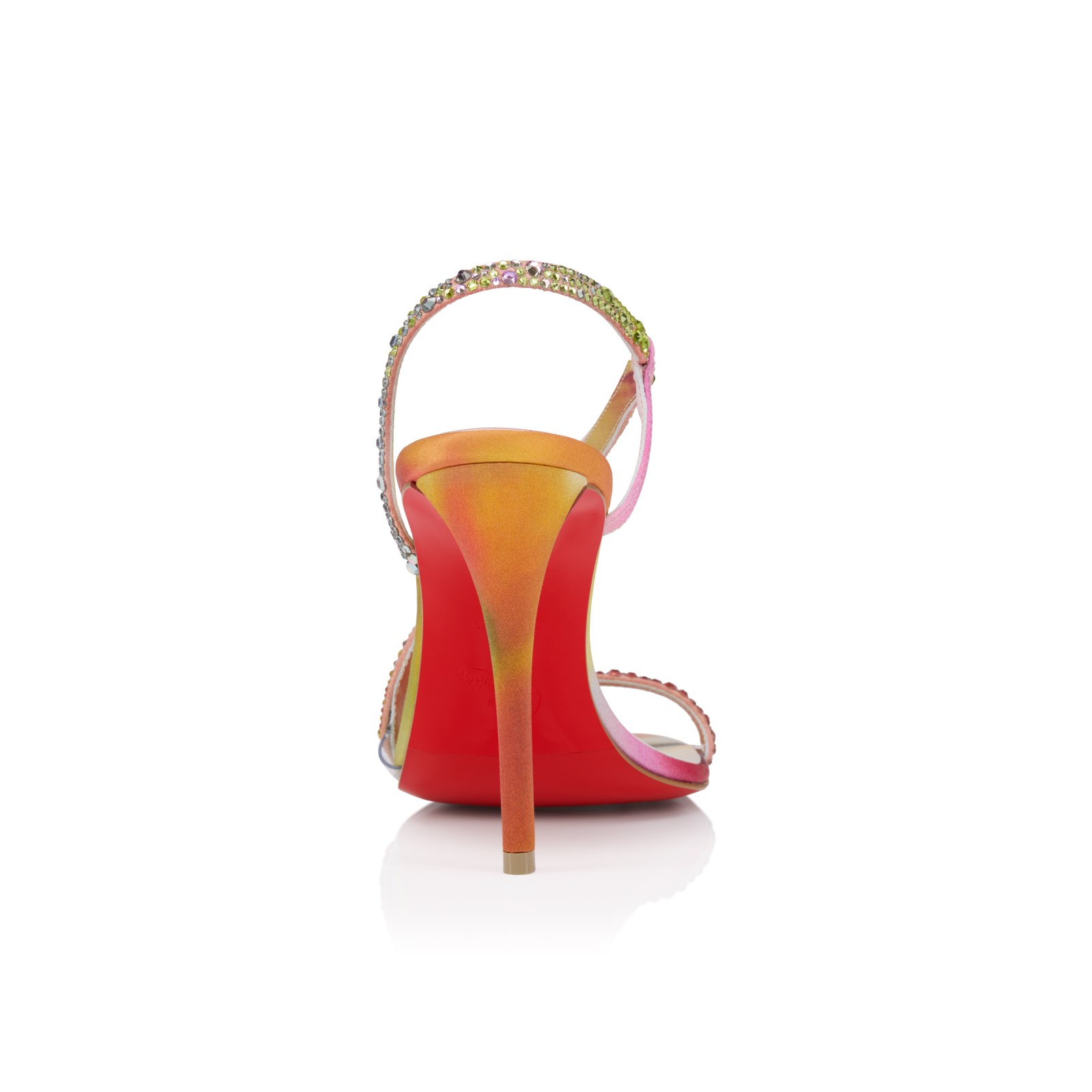 Rosa Z Strass Botanica — Multicolore