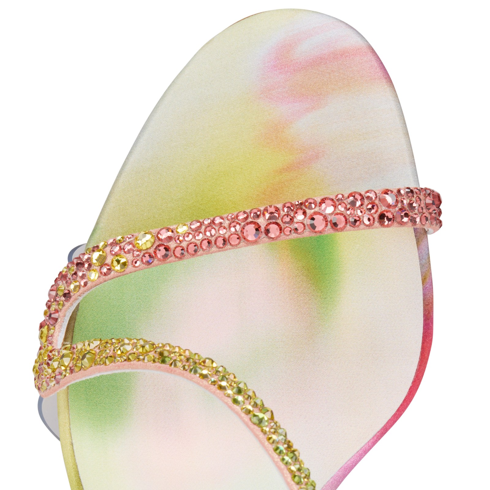 Rosa Z Strass Botanica — Multicolore