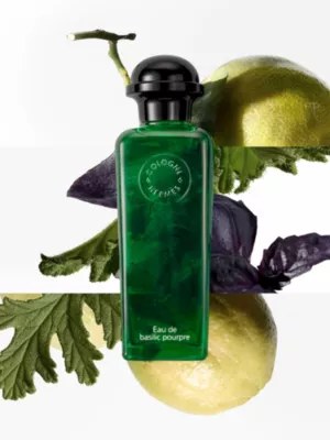 Eau de basilic pourpre Eau de cologne 100 ml — Eau de basilic pourpre Eau de cologne